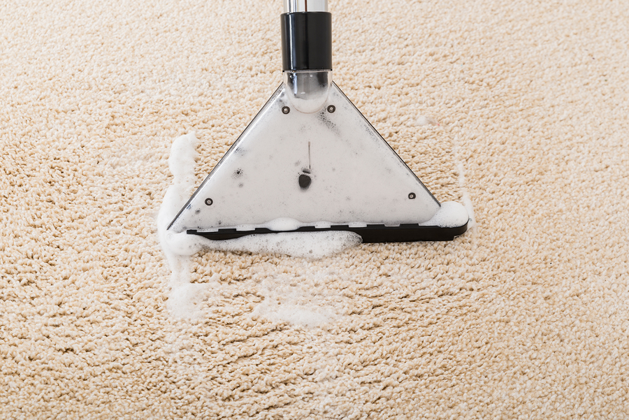 carpet cleaning